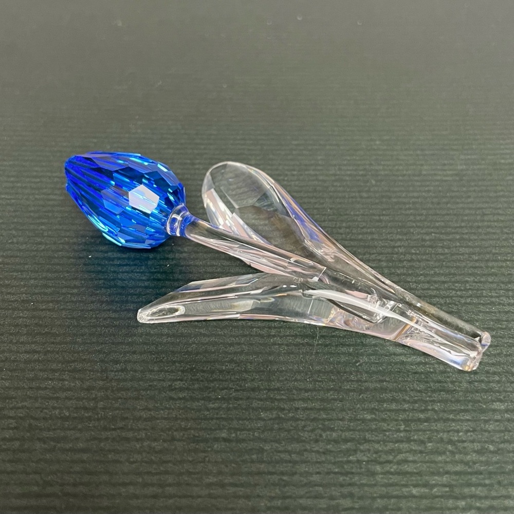 NIB SCS Blue Tulip - Member Renewal Piece